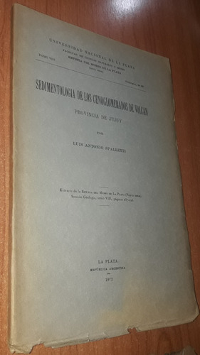 Sedimentologia De Los Cenoglomerados De Volcan   Spalletti