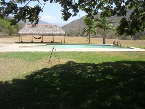 Imagen 7 de 13 de Vendo Finca 2.680.000 M2 El Consejo