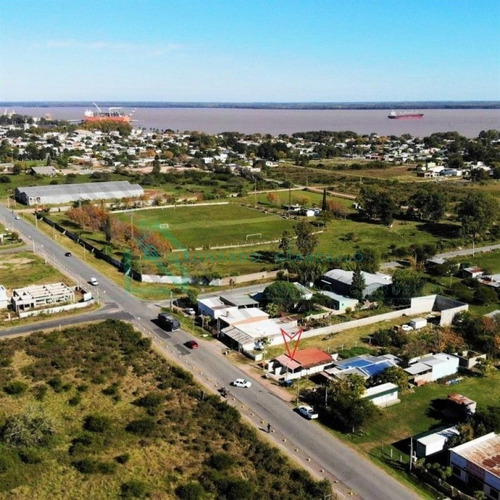 Imagen 4 de 10 de Nueva Palmira - Local Comercial