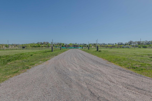 Terreno En Manzanares - Lomas De Manzanares