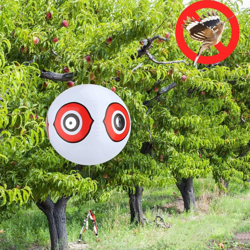 Ojos De Depredador De Pájaros, Ojos Terroristas, Globo Infla