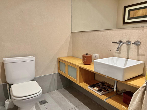 Imagen 12 de 30 de Maravilloso Penthouse Con Gran Jardin Propio En Terraza, En Martinez