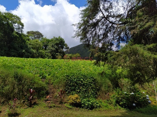 Imagem 7 de 12 de Grande Fazenda Com 2.5 Milhões De Área Total - Fa00020 - 69353189
