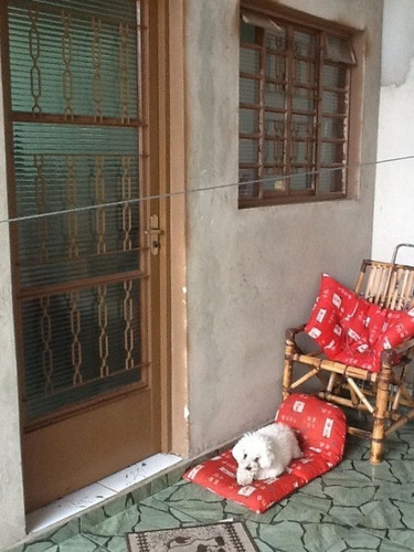 Imagem 3 de 10 de Casa - Ca00388 - 2089895
