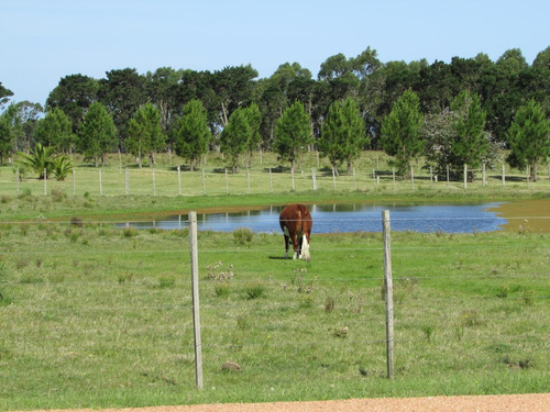 Rancho Daliah