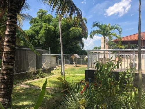 Imagem 25 de 30 de Chácara Em Granjas Mirassol (pachecos), Itaboraí/rj De 10000m² 3 Quartos À Venda Por R$ 990.000,00 - Ch1314298-s
