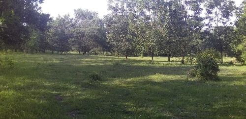 Te Vendo Excelente Finca En Estilado De Monte Plata