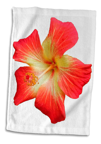 3drose Toalla De Flor De Hibisco Hawaiana Roja Y Dorada Prec