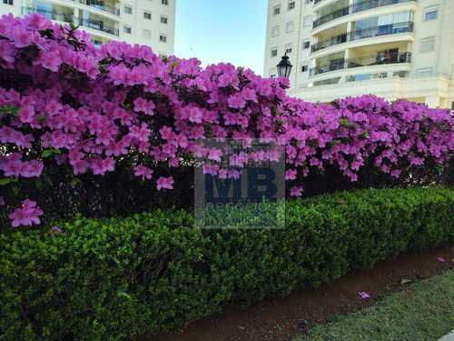 Imagem 18 de 30 de Apartamento Com 3 Dormitórios À Venda, 120 M² Por R$ 1.280.000,00 - Jardim Marajoara - São Paulo/sp - Ap2628