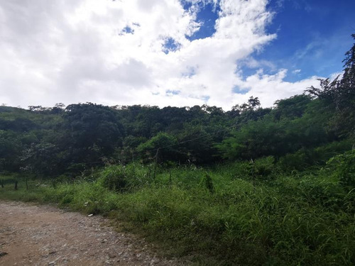 Imagen 2 de 7 de Terreno En Venta Linda Vista Shanka