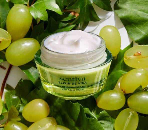 Crema Sentiva Elixir De Vida Antiedad Yanbal Original