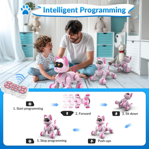 Robot Interactivo Programable Para Niños Robo Gato Rc