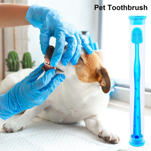 De Dientes Para Mascotas Cepillado De Dientes Limpieza De Di