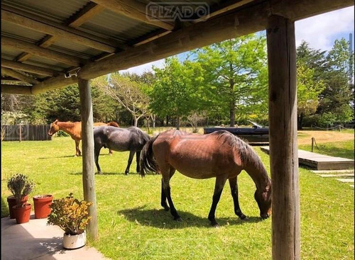 Imagen 1 de 19 de Terreno Campo Hotel Posada En Venta Ubicado En Ruta 104 Punta Del Este Manantiales, Punta Del Este, Punta Del Este / Maldonado