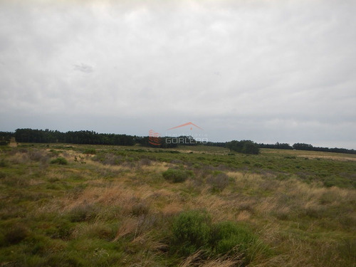 Imagen 3 de 11 de Chacra En Punta Del Este, Ruta 104