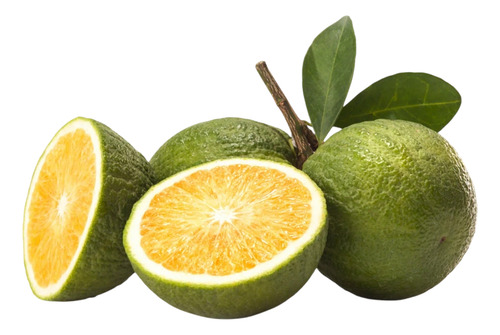 1kg De Naranja Agria Natural Yucateca Ideal Para Cochinita
