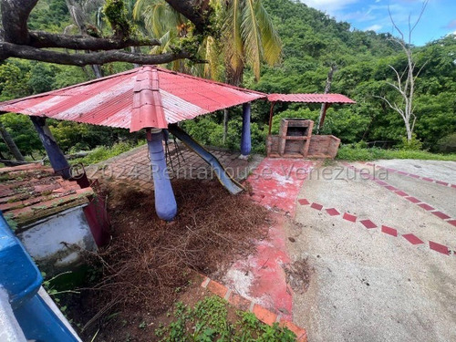 Finca Hacienda En Venta San Casimiro Aragua 25-2969 Wjo