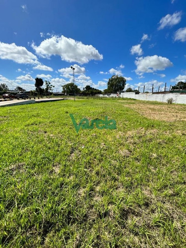 Imagen 3 de 25 de Venta Local Comercial Nuevo Paris, Zona Para Logística!! - Montevideo Nuevo Paris