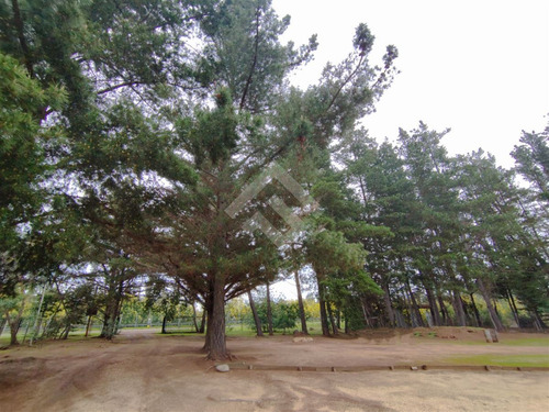 Casa En Venta De 4 Dorm. En Algarrobo