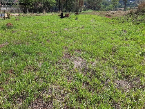Imagem 1 de 3 de Terreno - A Venda - Itatiba - Industrial - Te00322 - 70213798