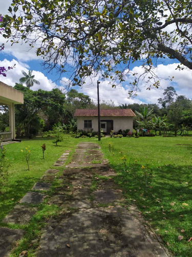Imagem 9 de 16 de Chácara À Venda, Aurá, Ananindeua, Pa - Pa - Ch0001_four