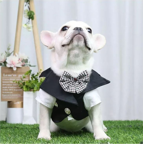 Traje Fiesta Formal Boda Año Nuevo Ropa Para Perros Mascotas