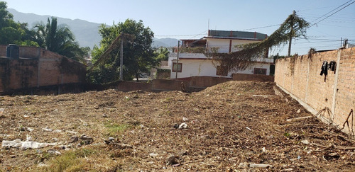 Imagen 9 de 15 de Lote Dharma