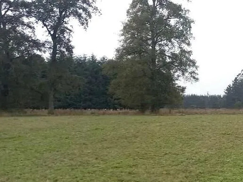 Campo 4,7 Ha En Venta, Purranque - Futillar