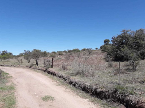 Imagen 4 de 6 de Terreno 8.3 Ha Escritura Los Reartes Córdoba