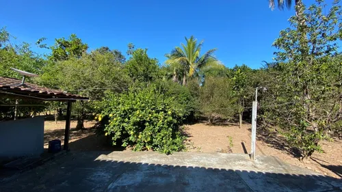 Venda De Fazenda Com Estrutura Completa Potencial Produtivo