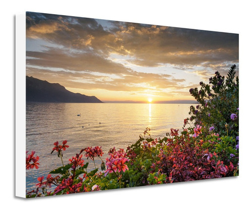 Cuadro Paisaje Floral Canvas Grueso Css7 60x40