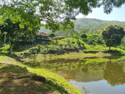 Finca Productiva De 114 Hectareas, En Altos De Carabobo, Tiene 6 Transformadores, 2 Bombas De 5 Y 10 Caballos, 2 Lagunas, Tierras Fértiles, (cosecha De Varias Plantas) Posee 2 Casas,