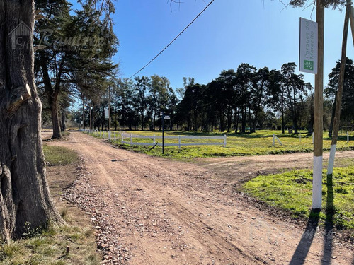 Imagen 16 de 30 de Lote Terreno En Venta 300 M2 - Parques Del Morenito, Moreno Norte