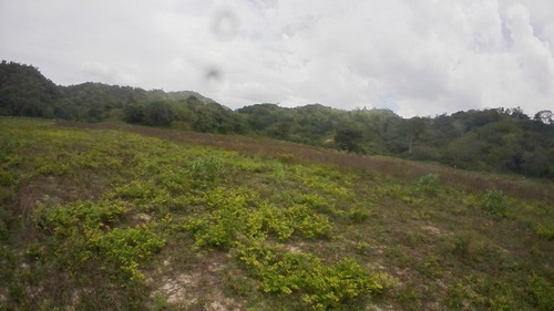 Imagen 22 de 30 de Finca En Venta San Felipe 1500 Ha, #23-14481