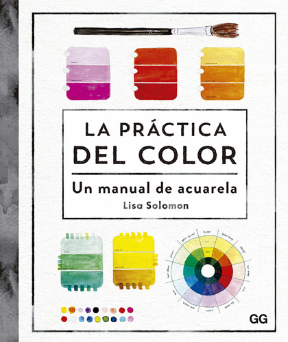 La Práctica Del Color - Solomon, Lisa