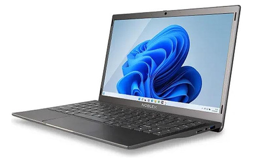 Notebook Noblex N14x1000 Celeron N4020c 4gb Ram Ssd 128gb (Reacondicionado)