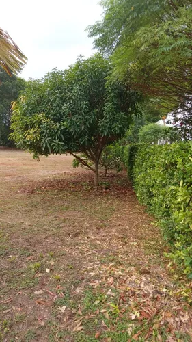 Lote Campestre .2200 Mt2