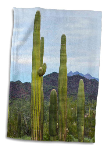 3d Rose Usa-arizona-monumento Nacional Organ Pipe. Toalla De