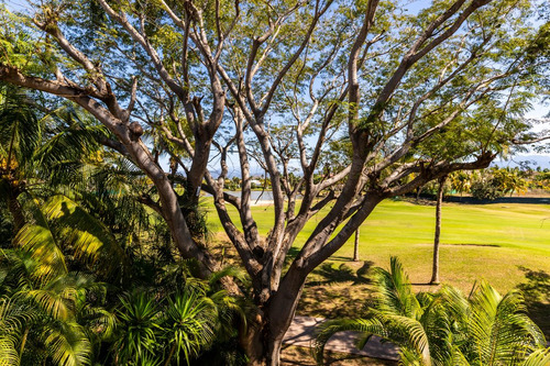 Imagen 7 de 15 de Departamento En Venta, Bahía De Banderas, Nayarit