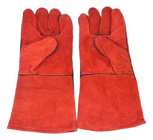 Guantes Antimordeduras Para Entrenamiento De Loros, Guantes