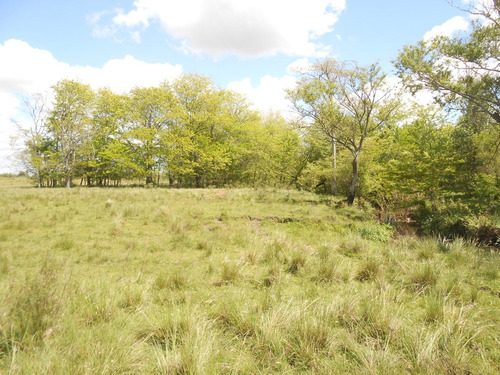 Imagen 4 de 10 de Vende 27 Has En Santa Rosa Monte Buena Aguada, Lindo Campo Fcio!!!