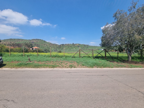 Se Vende 5.000 Metros Hacienda Chacabuco