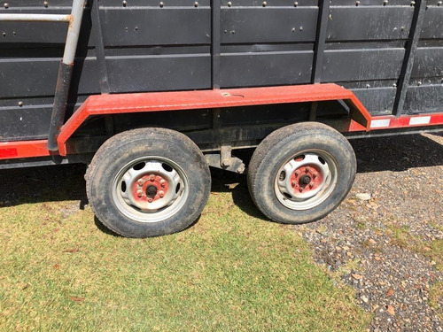 Trailer O Remolque Para Transporte De Caballos Especiales