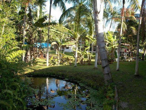 Imagem 21 de 30 de Chácara Residencial À Venda, Jardim São Fernando, Itanhaém. - Ch0096