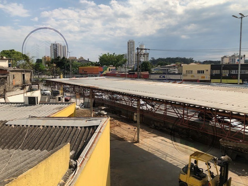 Imagem 14 de 16 de Terreno Para Aluguel, 1000.0 M2, Socorro - São Paulo - 6391