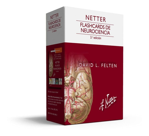 Netter. Flashcards De Neurociencia - 3ª Edición Cartas