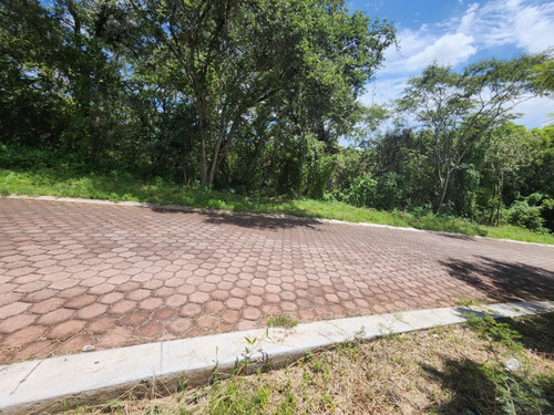 Venta Lote San Diego 54 Mz Xvi Muy Cerca De La Entrada Y De Las Amenidades Del Fracc Rancho San Diego Ixtapan De La Sal Edomex