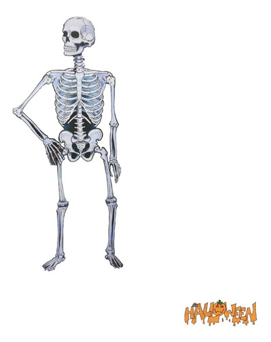 Painel Esqueleton Articulado Halloween 1,2m