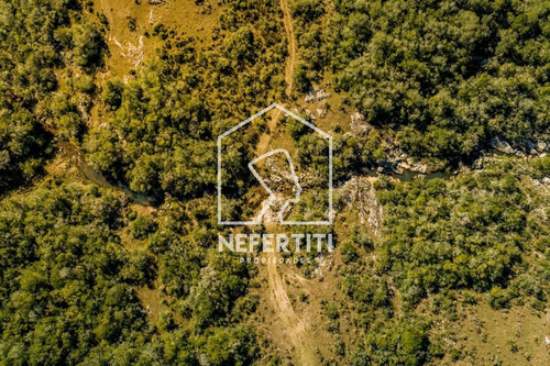 Imagen 4 de 20 de Chacra 5 Hectáreas En Sierras De Aiguá Con Monte Nativo