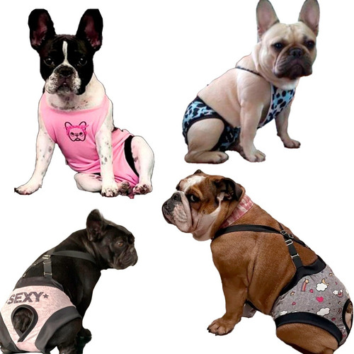 Imagen 7 de 10 de Bodys Sanitarios Bombachas Para Perros O Gatos Premium Star